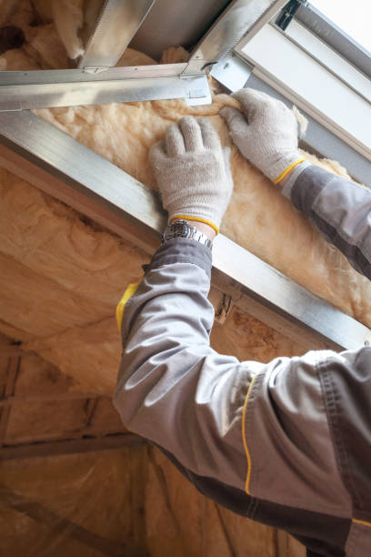 Best Professional Insulation Contractor  in Burlington, WI